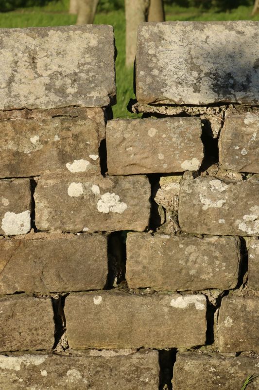 Rock Wall Repair in Killeen, TX